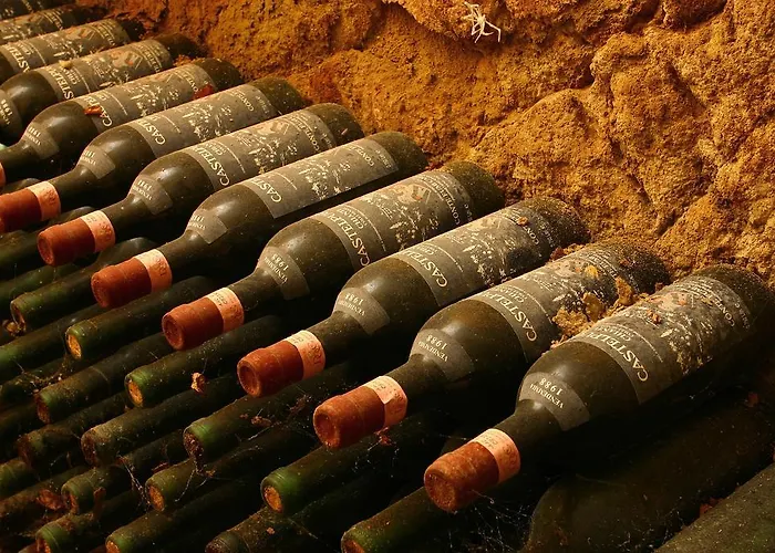Castel Di Pugna Winery カントリーハウス *